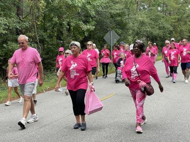 A crowd of In the Pink walk participants - all wearing pink T-shirts - walk down a tree-lined path during the event.